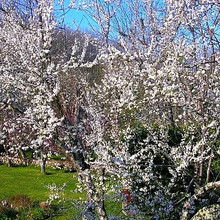 Le Colombier Bed & Breakfast 4*