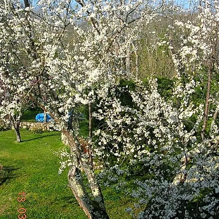 Le Colombier Couette-café Villeneuve-sur-Lot