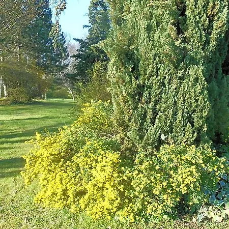 Le Colombier