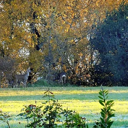 Le Colombier 4* Villeneuve-sur-Lot