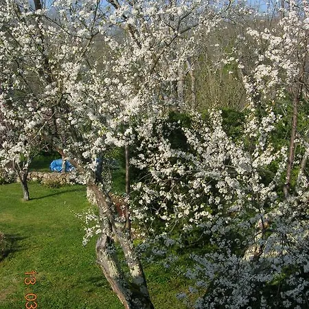 Le Colombier Bed & Breakfast *