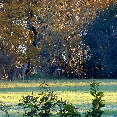 Bed & Breakfast Le Colombier Villeneuve-sur-Lot