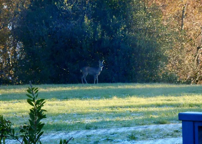 Le Colombier 4* Villeneuve-sur-Lot