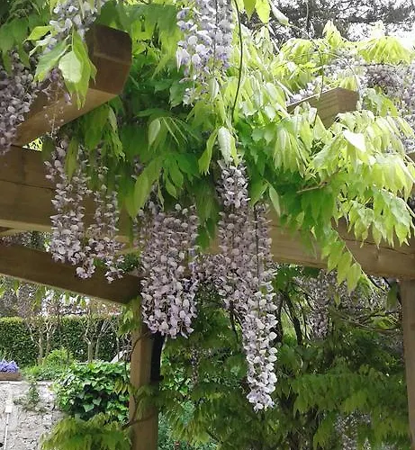 Bed & Breakfast Le Colombier Villeneuve-sur-Lot